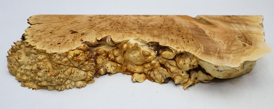 Maple Burl block 16" x 5.2" x 2.1" (GREAT FIGURE) - Stock# 6-4966