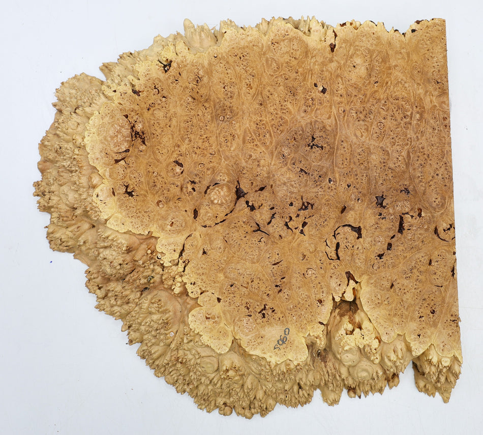 Maple Burl block 14" x 13" x 2" (PREMIUM FIGURE) - Stock# 6-5060