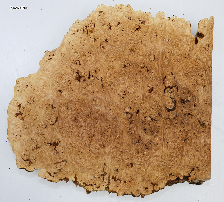 Maple Burl block 14" x 13" x 2" (PREMIUM FIGURE) - Stock# 6-5060