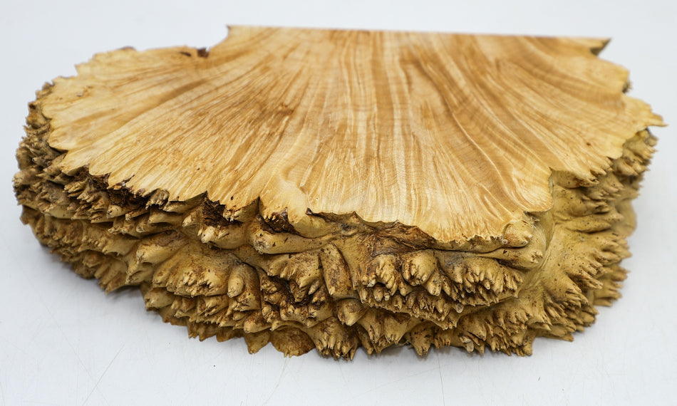 Maple Burl block 10" x 6" x 2.3" (HIGH FIGURE) - Stock# 6-5095