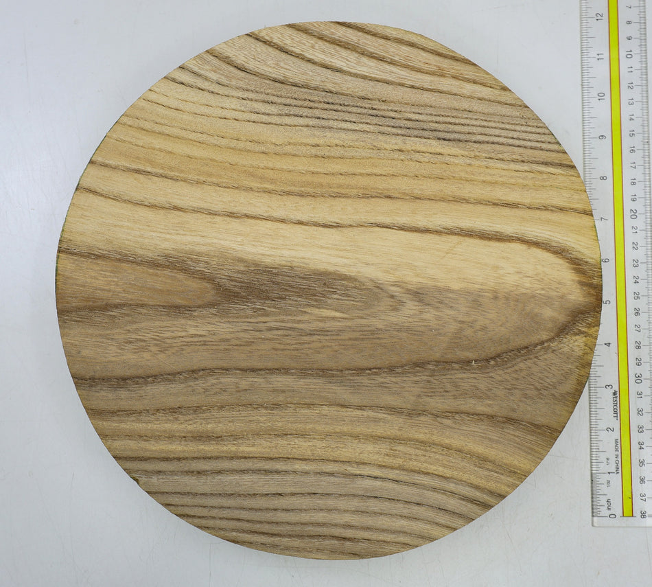 Red Elm Round 12" diameter x 2" - Stock# 6-5106
