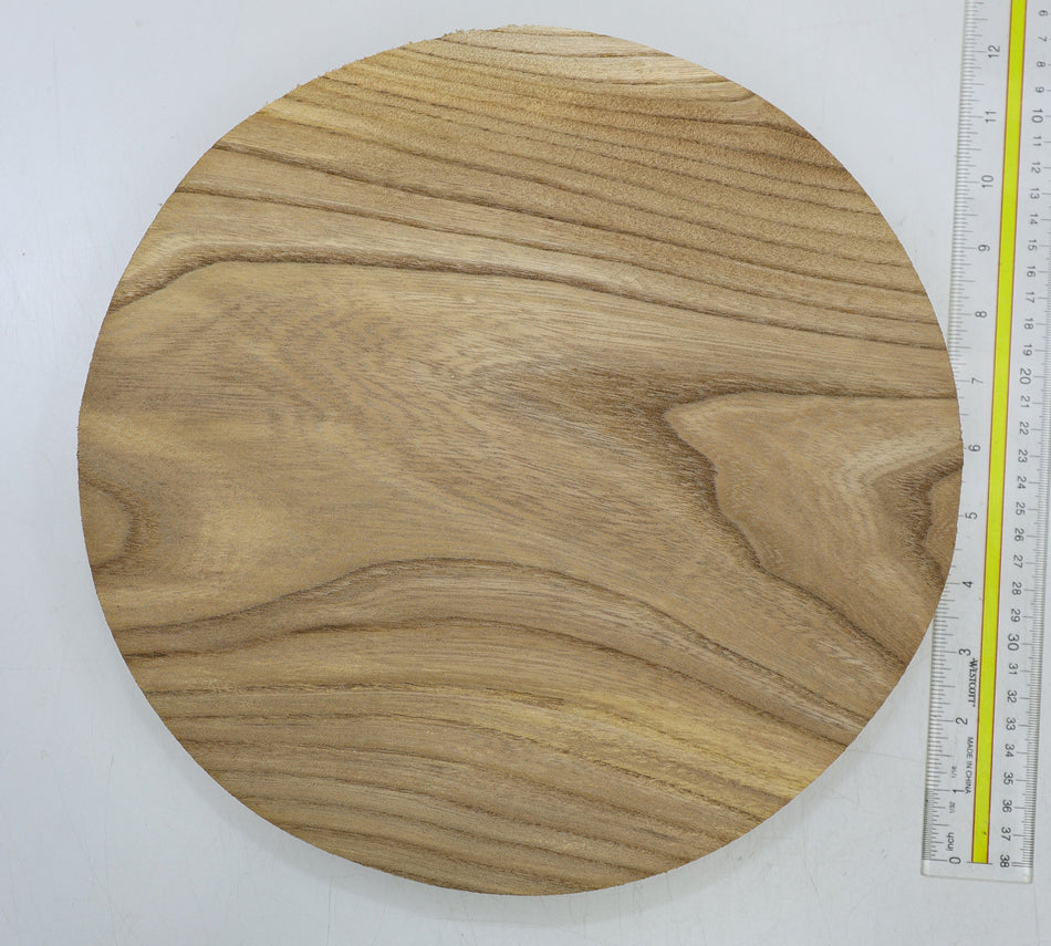 Red Elm Round 12" diameter x 2" - Stock# 6-5106