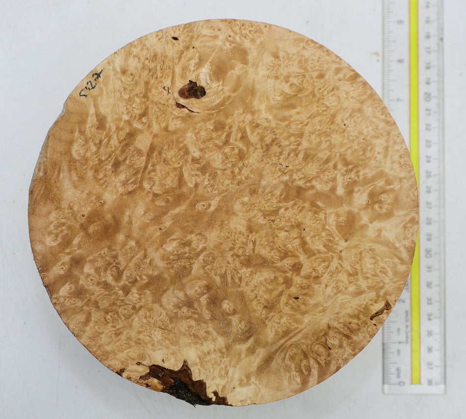 Maple Burl Round 8" diameter x 3.2" (HIGH FIGURE) - Stock# 6-5127