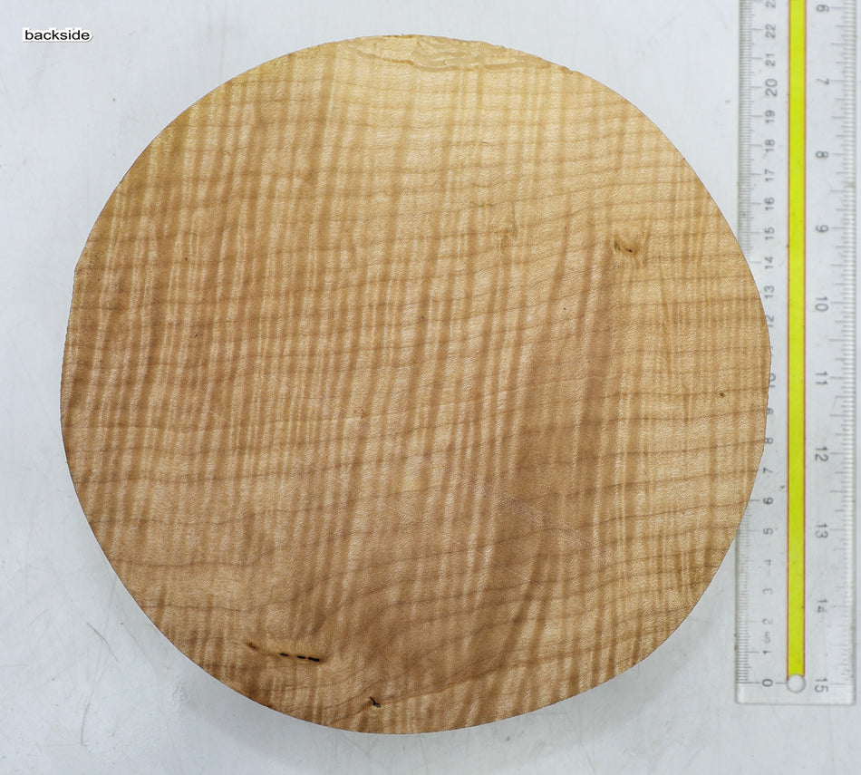 Maple Flame Round 8" diameter x 2.25" (PREMIUM FIGURE) - Stock# 6-5150