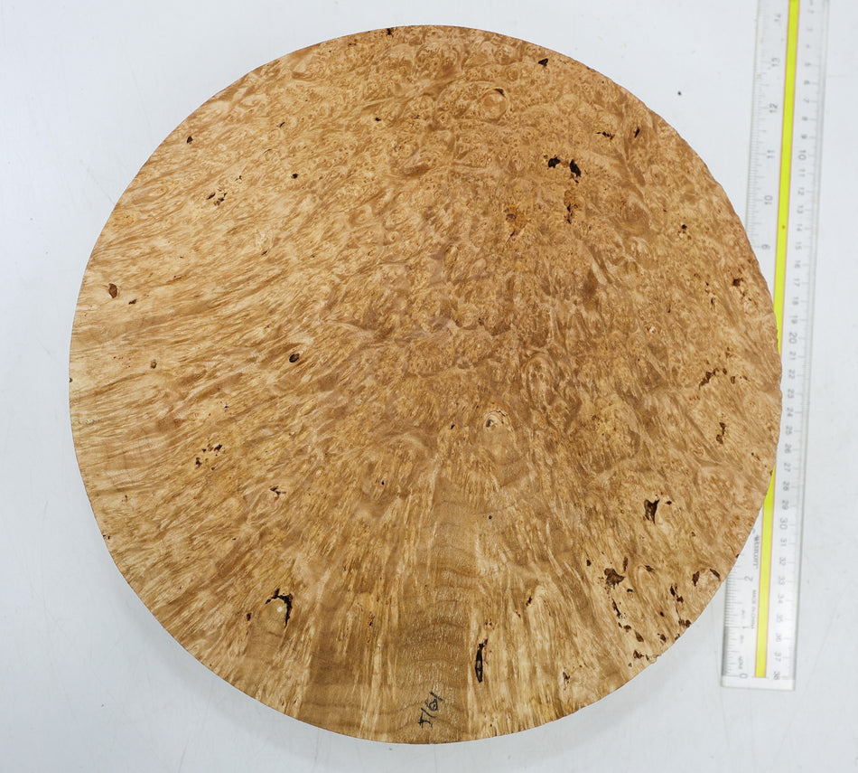 Maple Burl Round 12.5" diameter x 3" (PREMIUM FIGURE) - Stock# 6-5161
