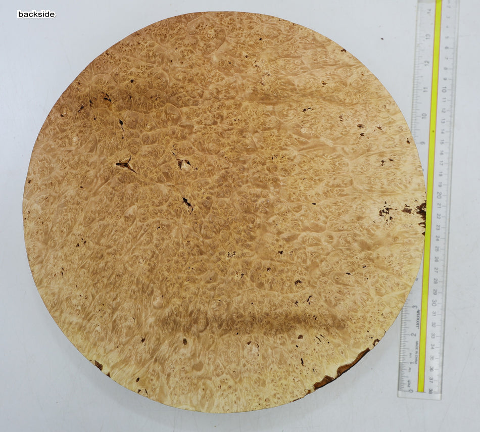 Maple Burl Round 12.5" diameter x 3" (PREMIUM FIGURE) - Stock# 6-5161