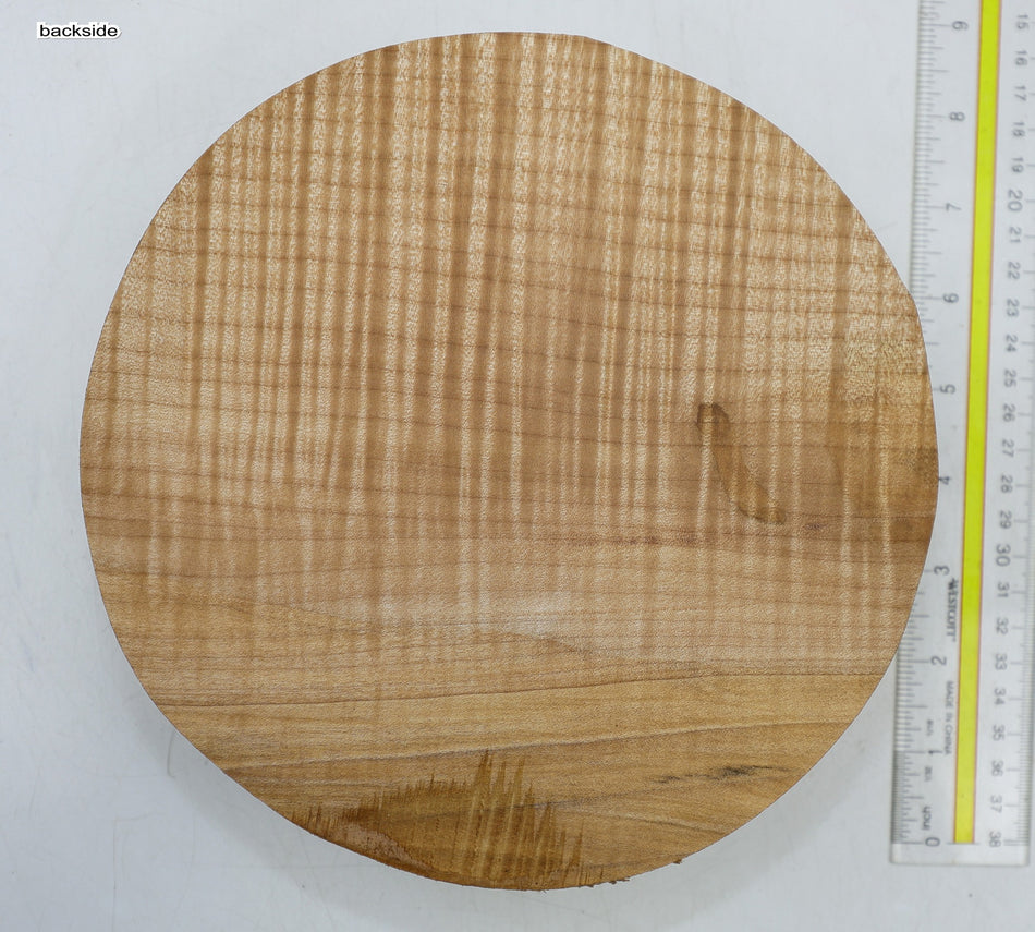 Maple Flame Round 8" diameter x 2.35" (GREAT FIGURE) - Stock# 6-5162