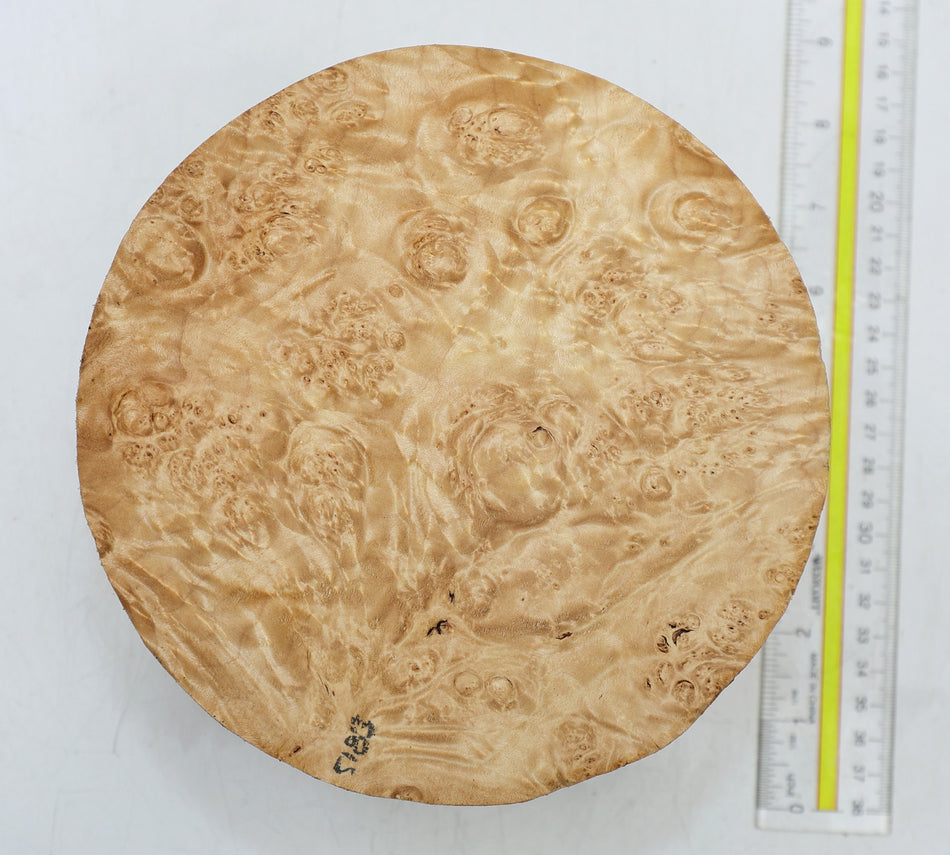 Maple Burl Round 7" diameter x 3.7" (PREMIUM FIGURE) - Stock# 6-5183
