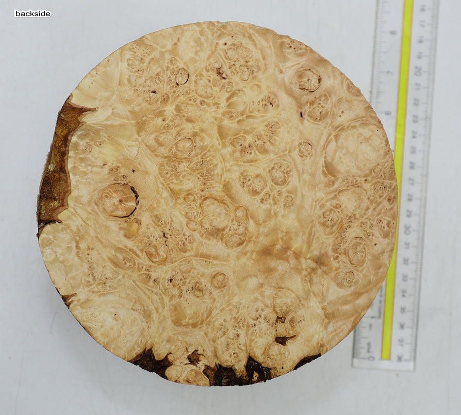 Maple Burl Round 7" diameter x 3.7" (PREMIUM FIGURE) - Stock# 6-5183