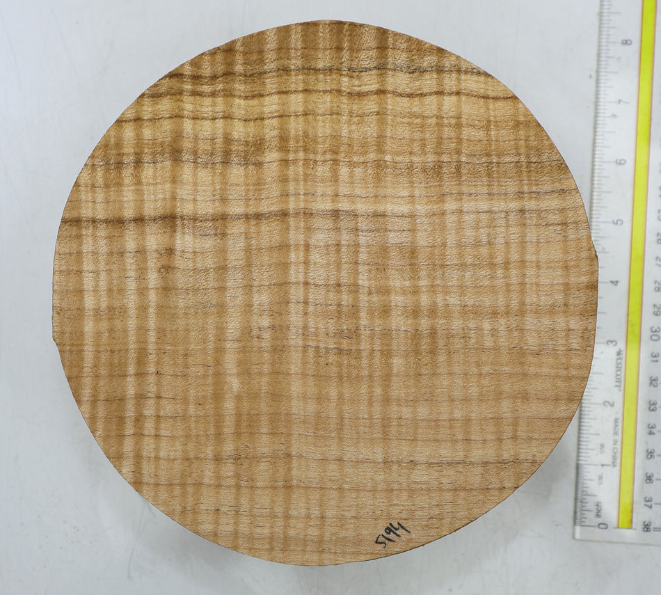 Maple Flame Round 8" diameter x 2.8" (GREAT FIGURE) - Stock# 6-5195