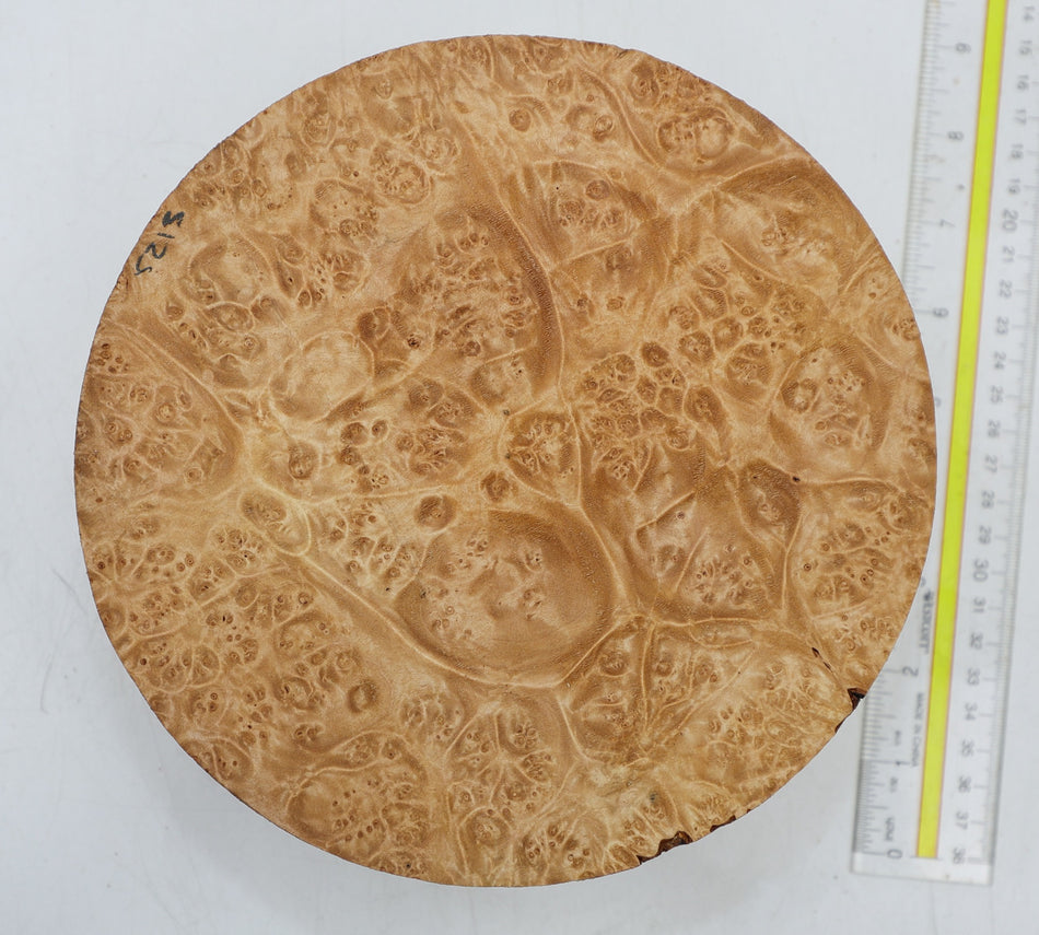 Maple Burl Round 8" diameter x 3.3" (PREMIUM FIGURE) - Stock# 6-5213
