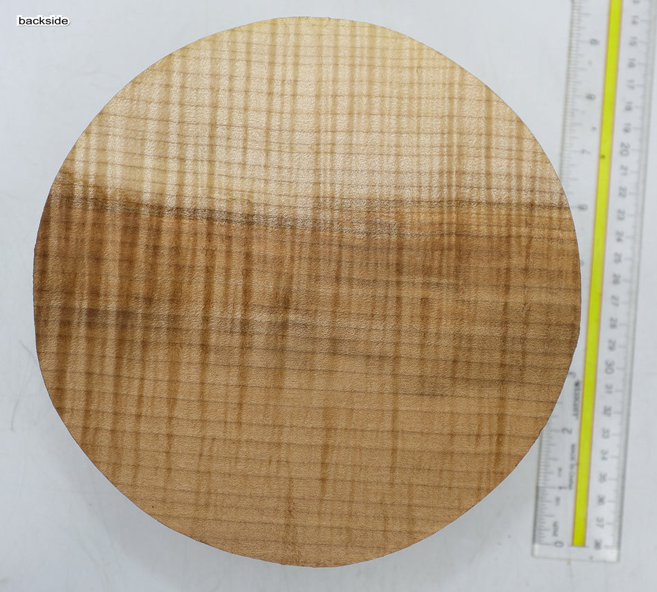 Maple Flame Round 8" diameter x 3.25" (GREAT FIGURE) - Stock# 6-5214