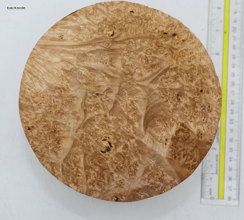 Maple Burl Round 7" diameter x 3" (PREMIUM FIGURE) - Stock# 6-5215