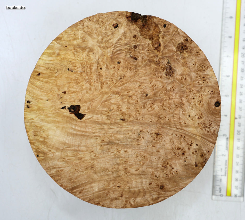 Maple Burl Round 8" diameter x 4.1" (HIGH FIGURE) - Stock# 6-5230