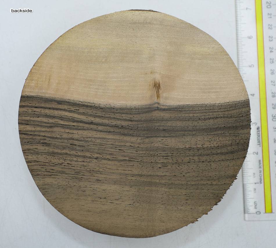 Walnut (English) Round 7" diameter x 2" - Stock# 6-5236