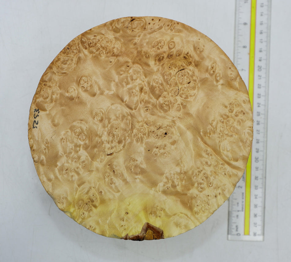 Maple Burl Round 7.5" diameter x 3.3" (PREMIUM FIGURE) - Stock# 6-5253