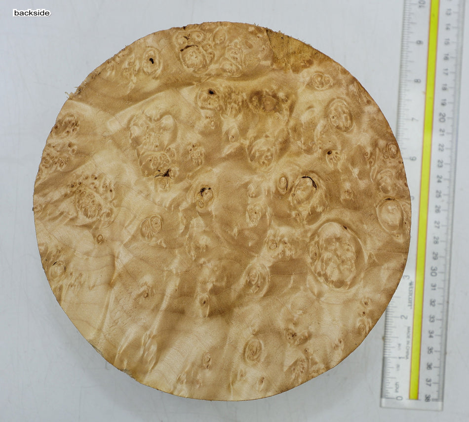 Maple Burl Round 7.5" diameter x 3.3" (PREMIUM FIGURE) - Stock# 6-5253