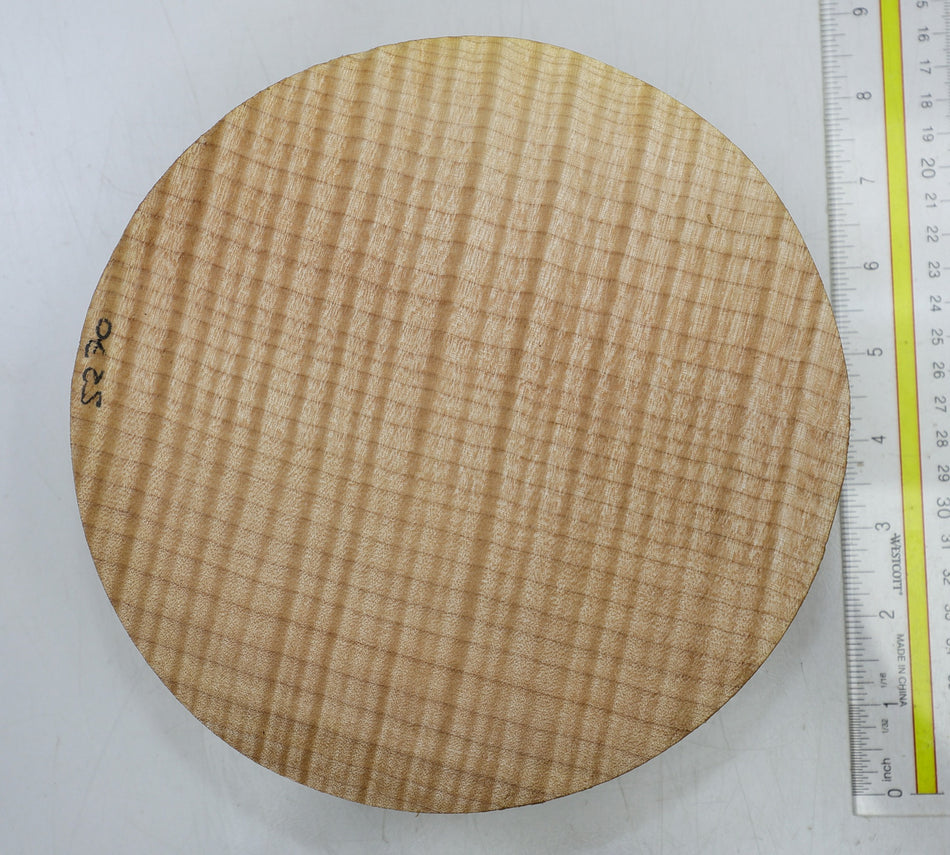 Maple Flame Round 8" diameter x 2.4" (HIGH FIGURE) - Stock# 6-5270