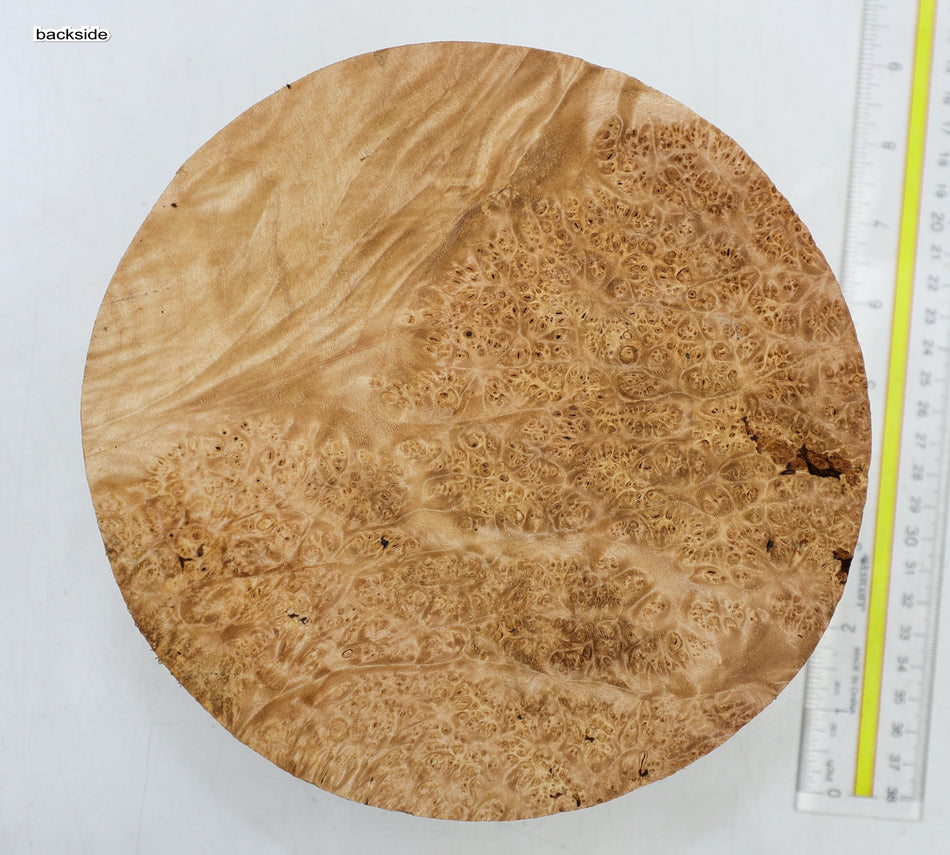 Maple Burl Round 8" diameter x 3.3" (HIGH FIGURE) - Stock# 6-5271