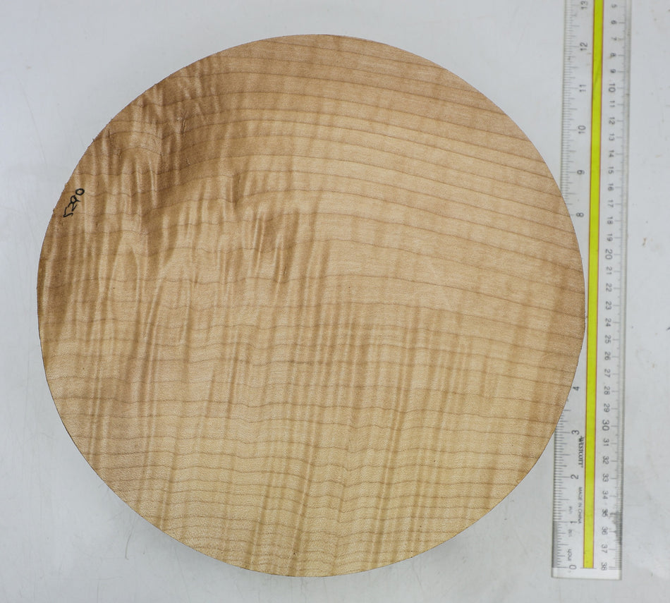 Maple Flame Round 11" diameter x 2.5" (HIGH FIGURE) - Stock# 6-5290