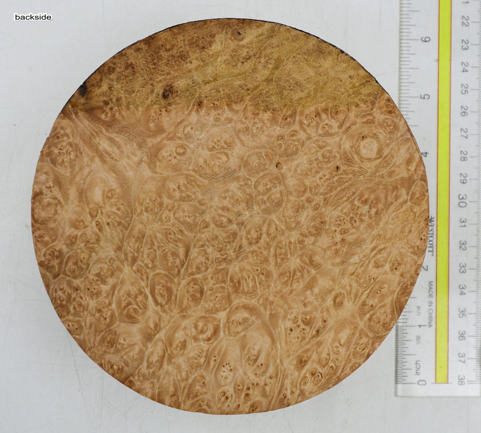 Maple Burl Round 6" diameter x 2" (PREMIUM FIGURE) - Stock# 6-5291