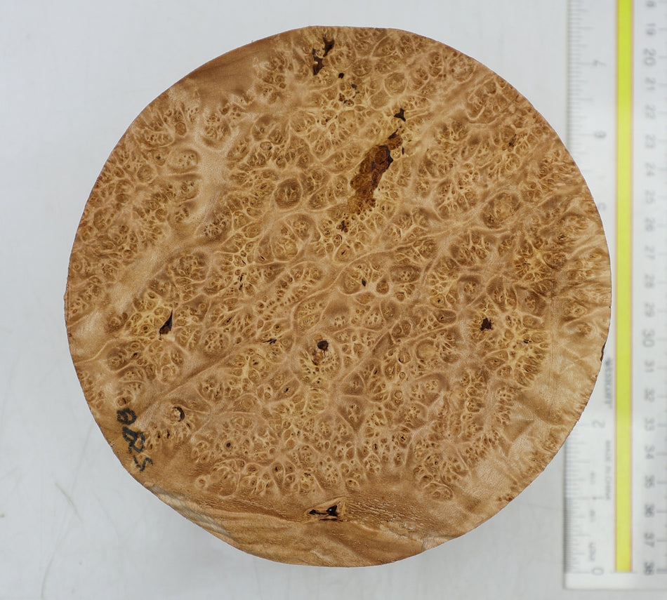 Maple Burl Round 6" diameter x 3.25" (HIGH FIGURE) - Stock# 6-5298