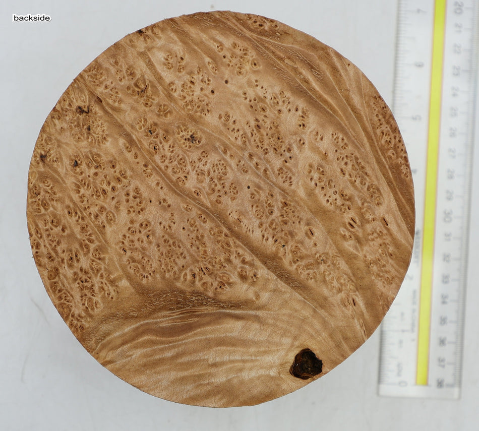 Maple Burl Round 6" diameter x 3.25" (HIGH FIGURE) - Stock# 6-5298