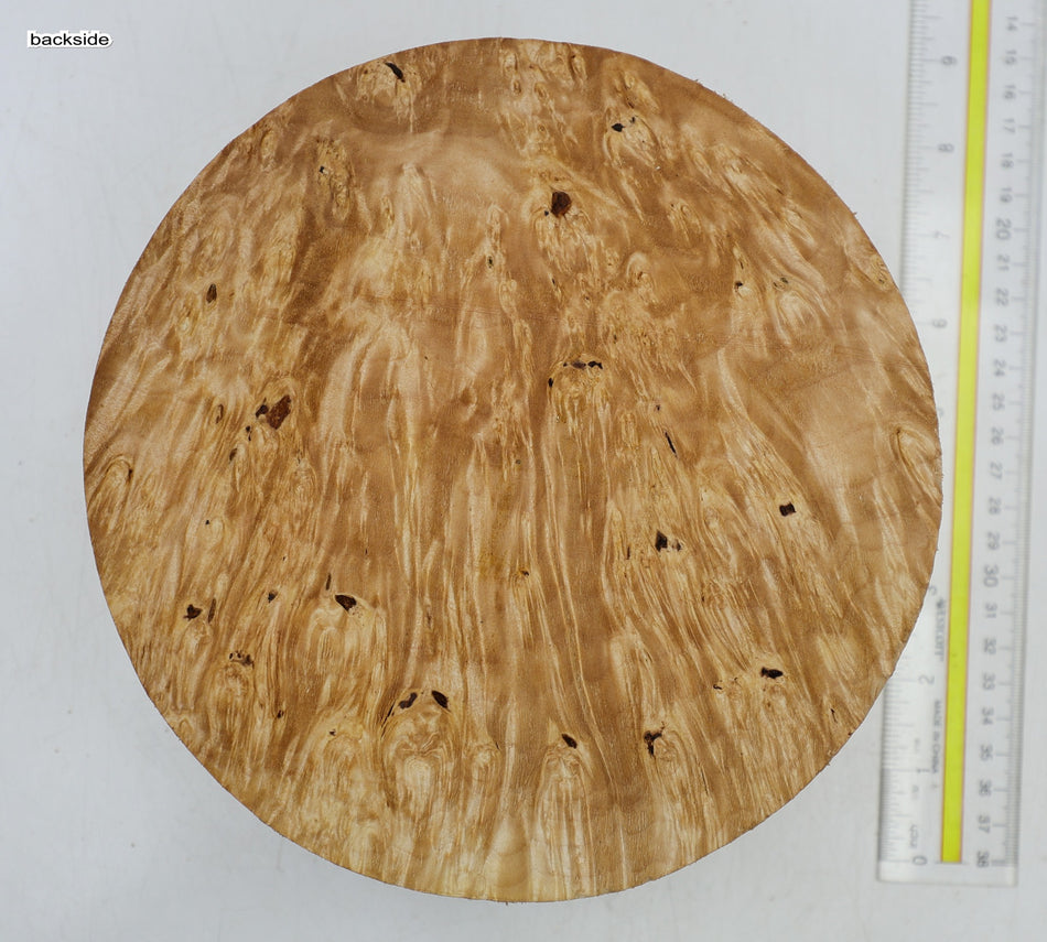 Maple Burl Round 8" diameter x 3.3" (HIGH FIGURE) - Stock# 6-5299