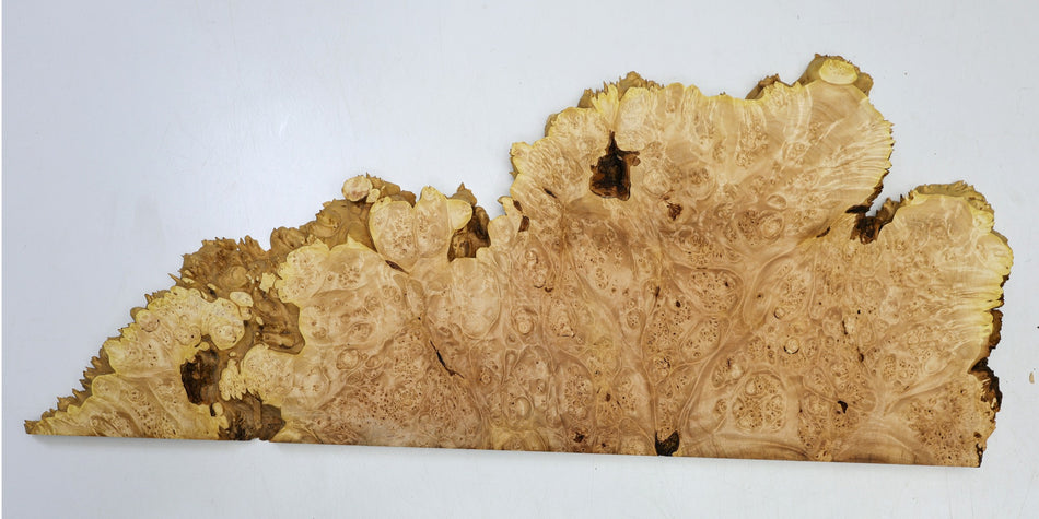 Maple Burl block 26" x 12" x 0.7" (HIGH FIGURE) - Stock# 6-5300