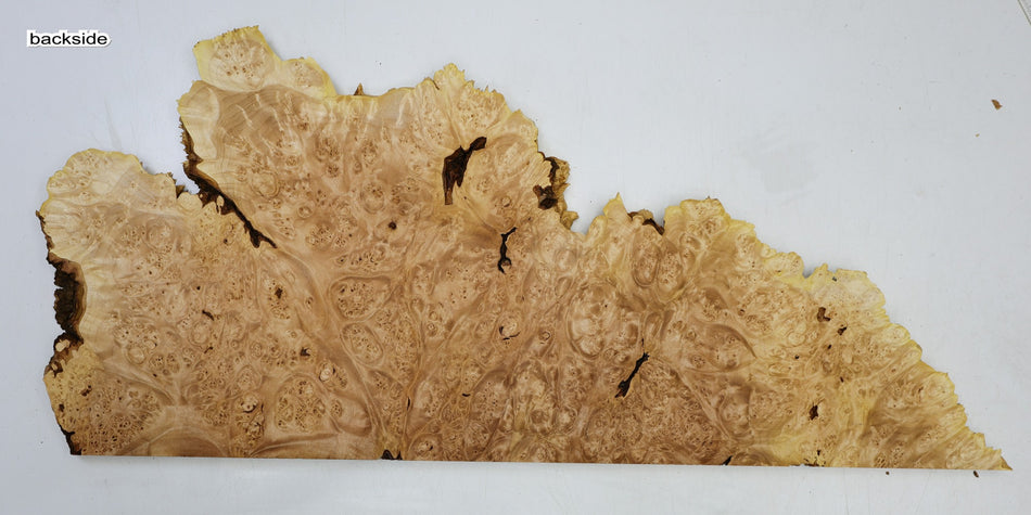 Maple Burl block 26" x 12" x 0.7" (HIGH FIGURE) - Stock# 6-5300