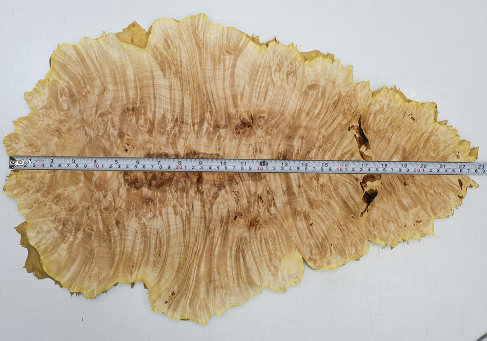Maple Burl, 2 pieces totaling 23" x 14" x 0.6" (HIGH FIGURE) - Stock# 6-5329