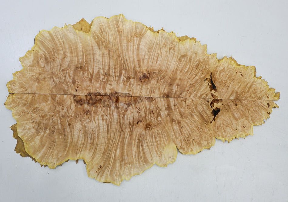 Maple Burl, 2 pieces totaling 23" x 14" x 0.6" (HIGH FIGURE) - Stock# 6-5329