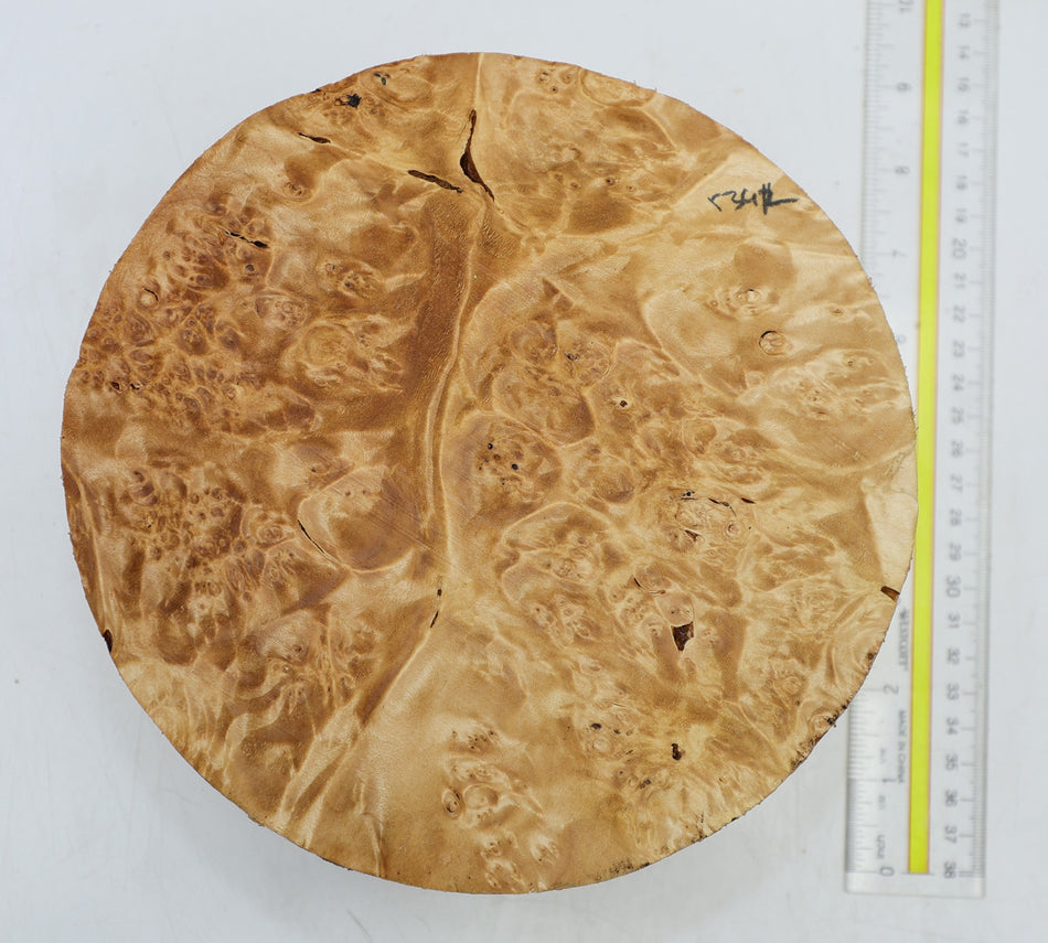 Maple Burl Round 8" diameter x 3.25" (HIGH FIGURE) - Stock# 6-5342