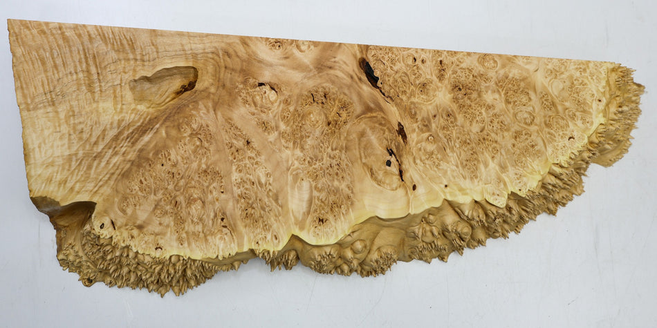 Maple Burl block 23" x 8" x 2.5" (HIGH FIGURE) - Stock# 6-5383