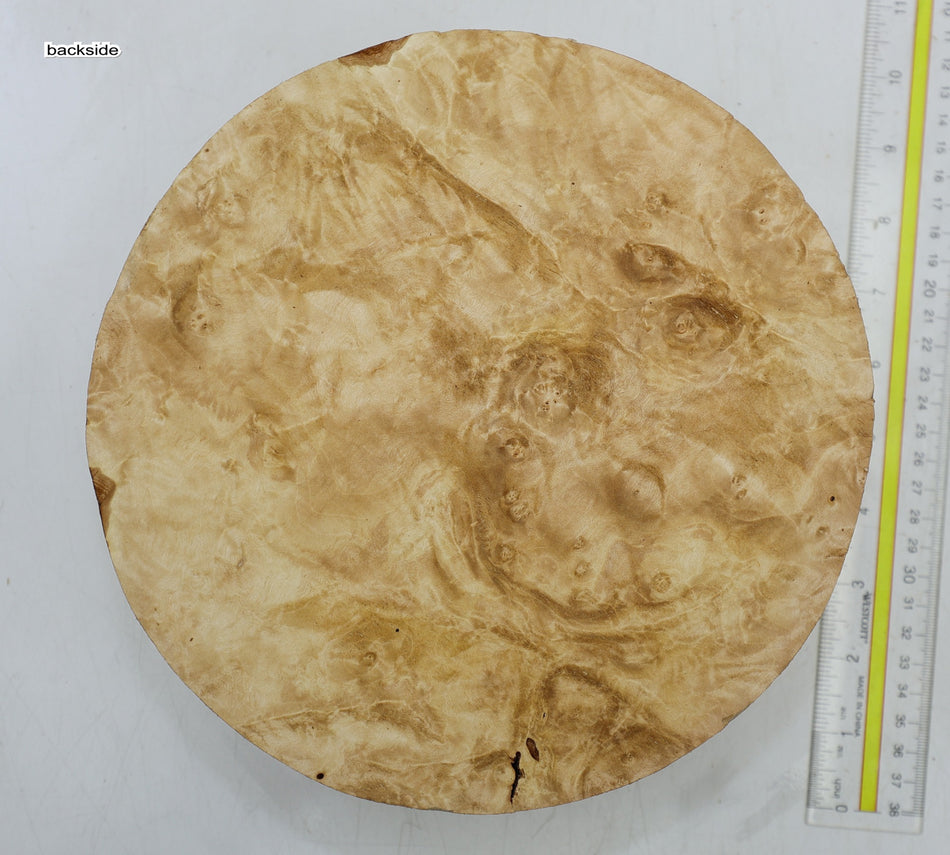 Maple Burl Round 9" diameter x 3.4" (HIGH FIGURE) - Stock# 6-5398