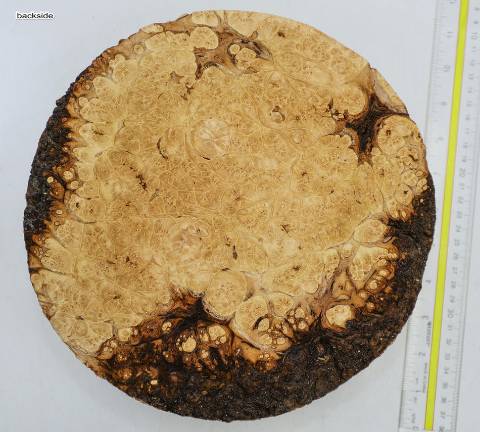 Maple Burl Round 10" diameter x 2.9" (HIGH FIGURE) - Stock# 6-5451