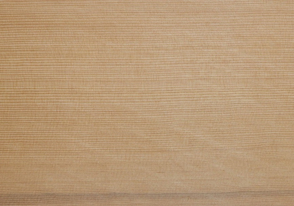 Soundhole Reinforcement (Red Cedar, Yellow Cedar, Spruce)