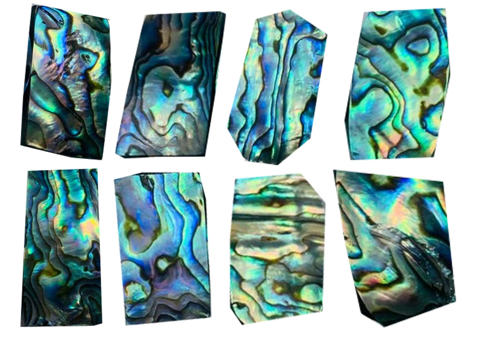 Abalone Variety pack, 20 grams